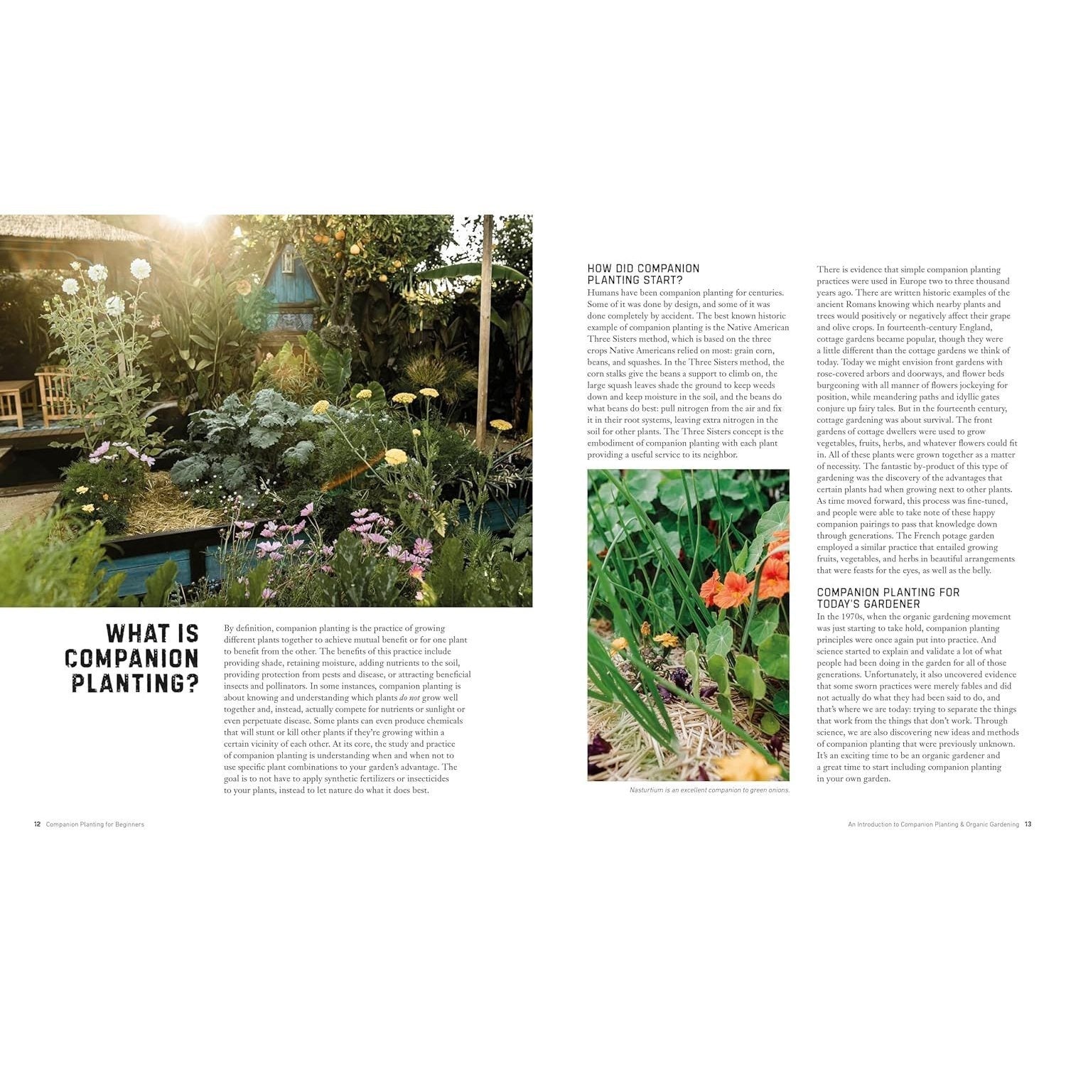 Companion Planting for Beginners: Pair Your Plants for a Bountiful, Chemical-Free Vegetable Garden (Spiral Bound)