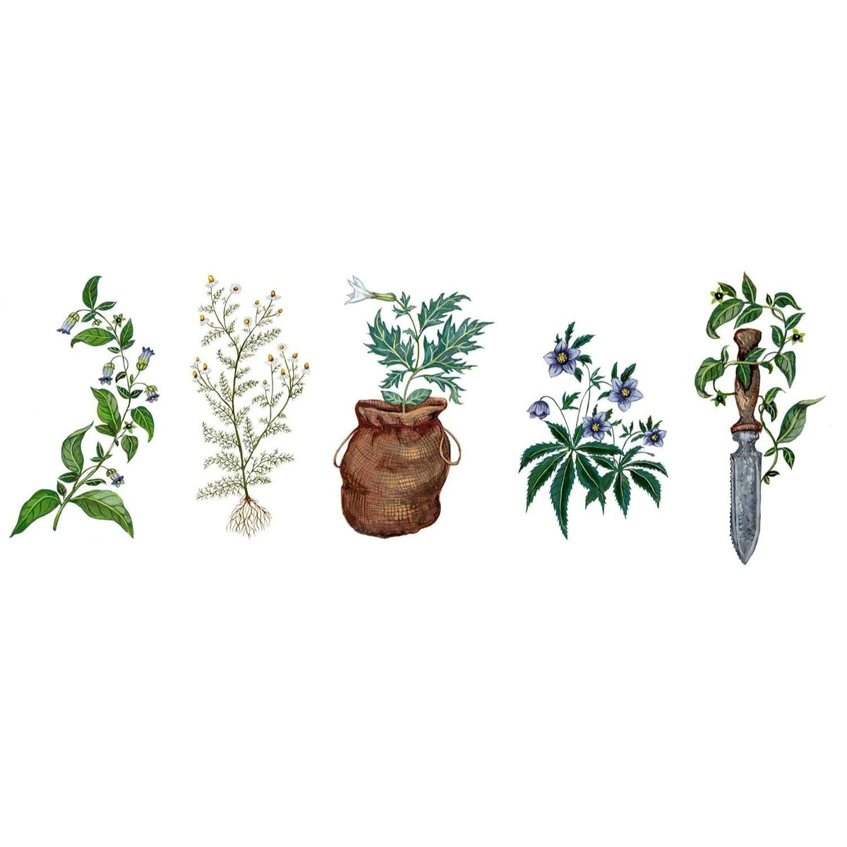 Wild Witchcraft: Folk Herbalism, Garden Magic, and Foraging for Spells, Rituals, and Remedies