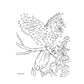 Birds Dot-To-Dot Coloring Book