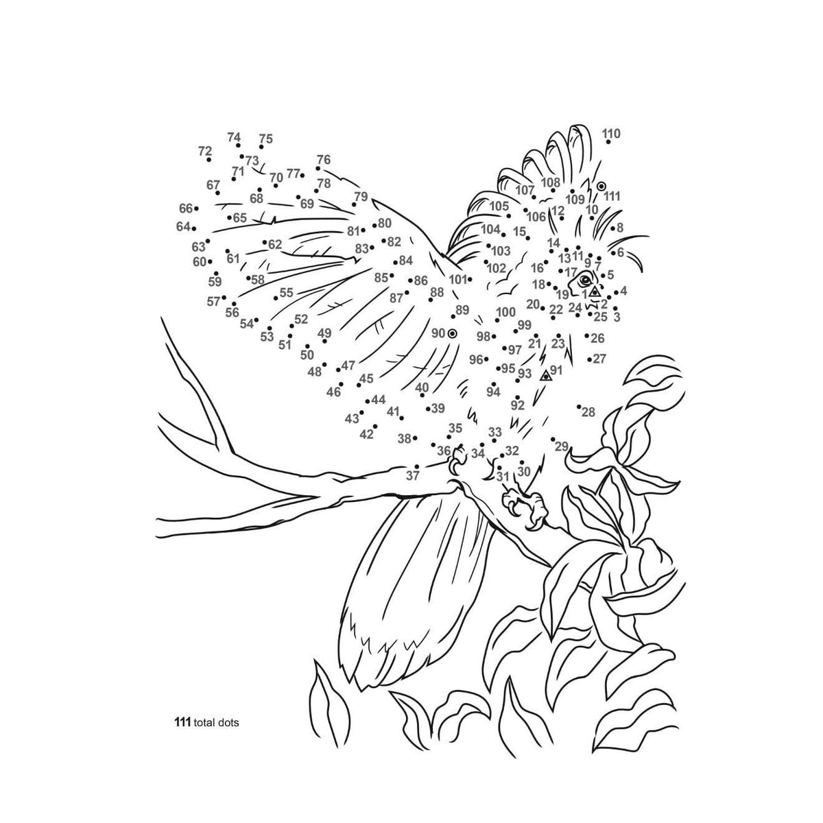 Birds Dot-To-Dot Coloring Book