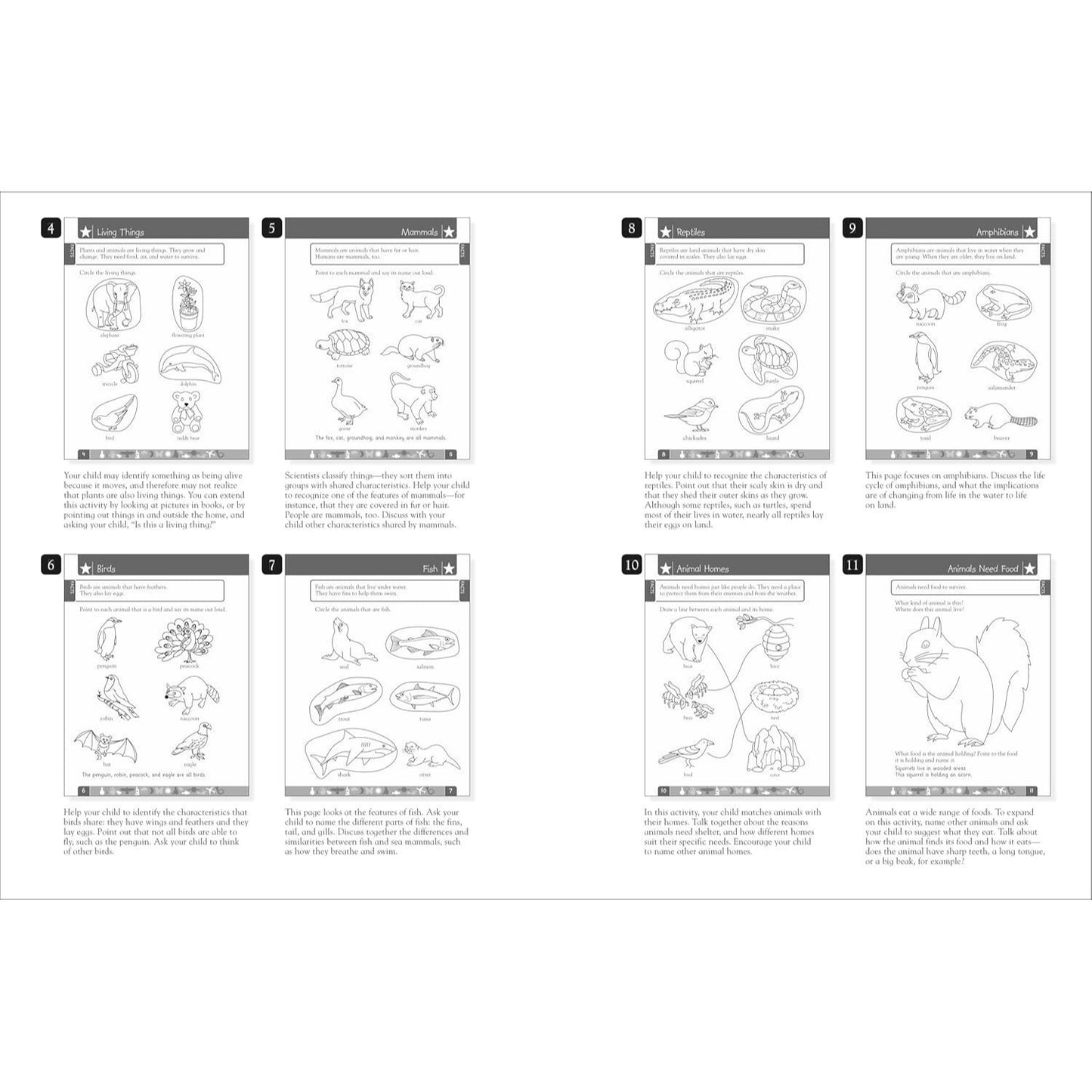 DK Workbooks: Science, Pre-K: Learn and Explore (Workbook) (DK Workbooks) (Spiral Bound)