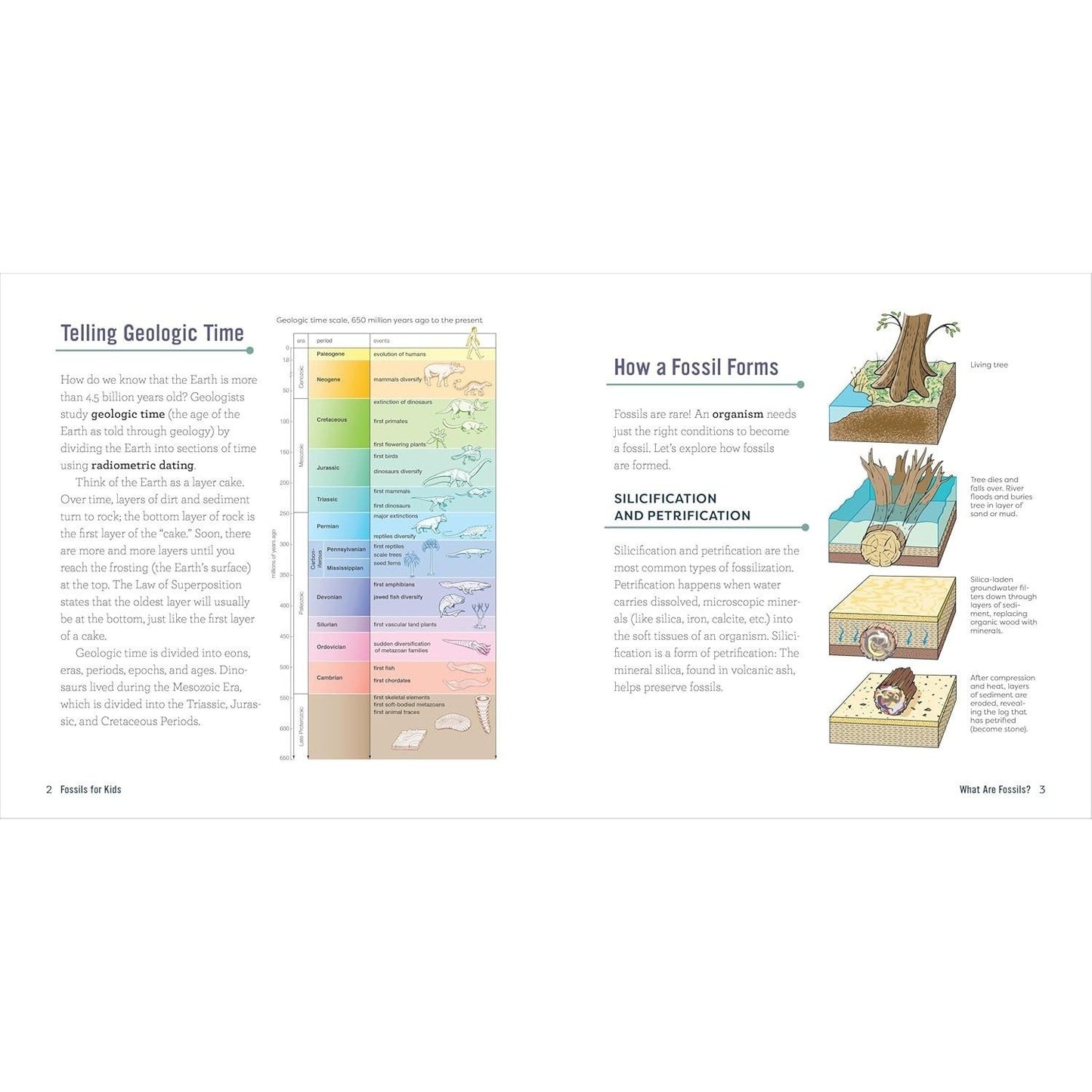 Fossils for Kids: A Junior Scientist's Guide to Dinosaur Bones, Ancient Animals, and Prehistoric Life on Earth