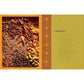 Soomaaliya: Food, Memory, and Migration: A Cookbook