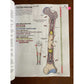 The Anatomy Coloring Book