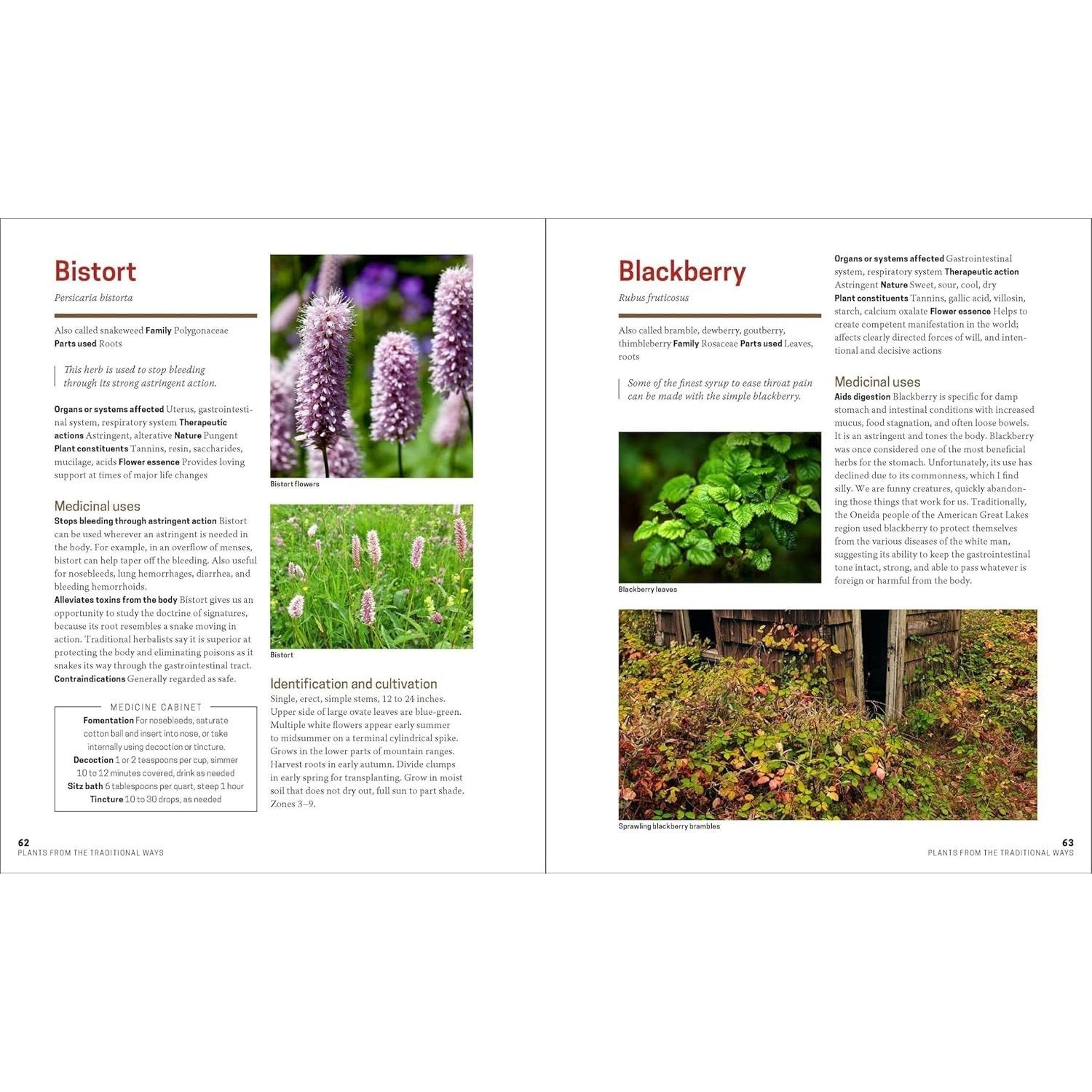 The Herbal Apothecary: 100 Medicinal Herbs and How to Use Them