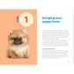 Puppy Training in 7 Easy Steps: Everything You Need to Know to Raise the Perfect Dog (Spiral Bound)