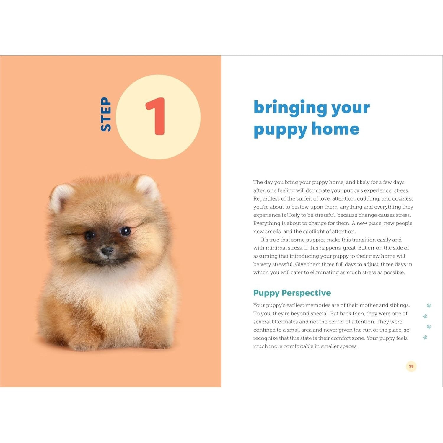 Puppy Training in 7 Easy Steps: Everything You Need to Know to Raise the Perfect Dog (Spiral Bound)