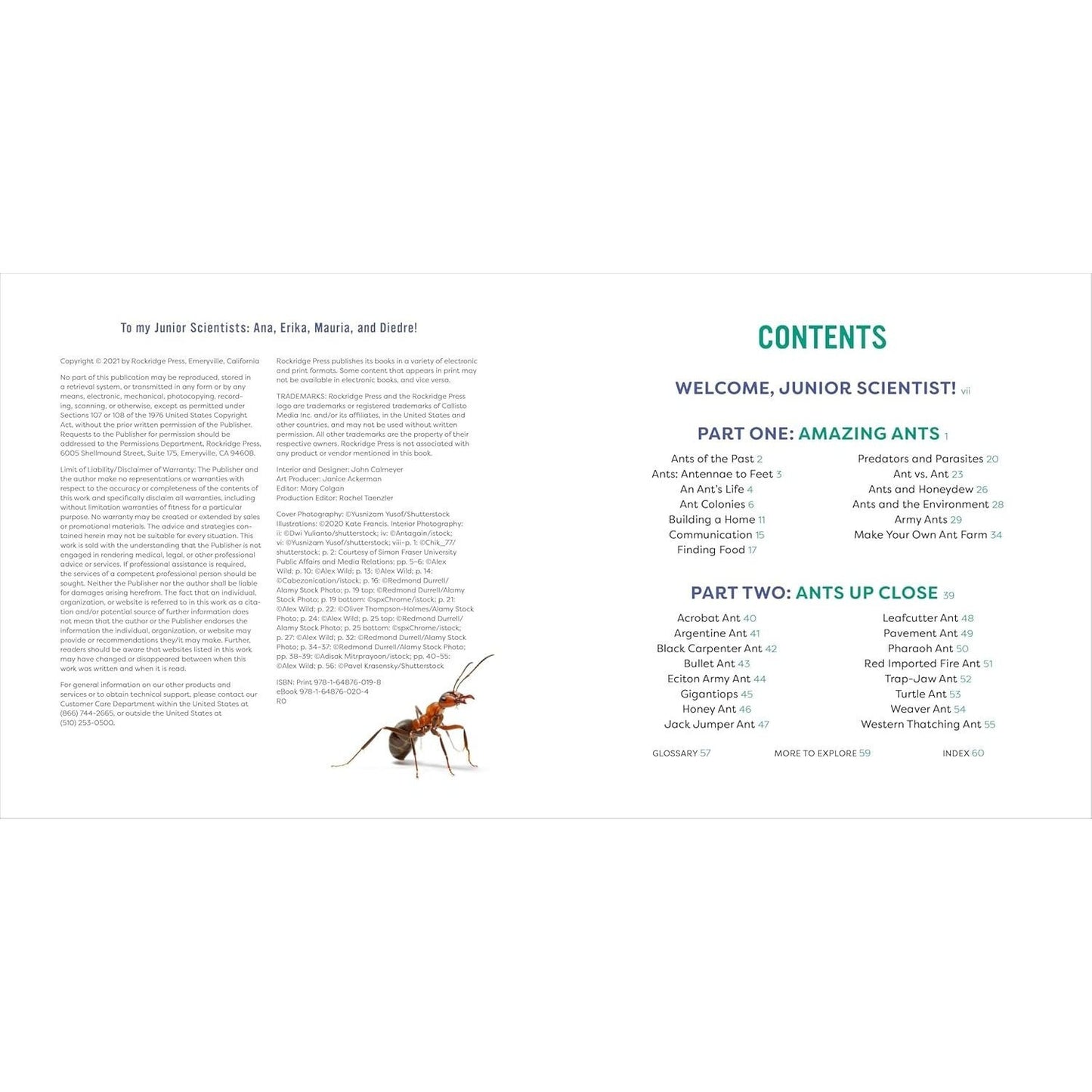 Ants for Kids: A Junior Scientist's Guide to Queens, Drones, and the Hidden World of Ants (Junior Scientists)