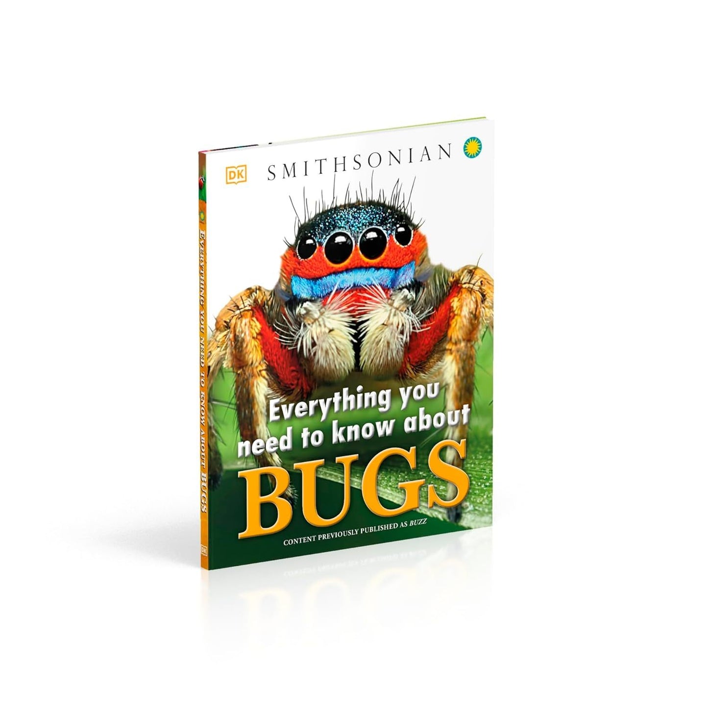 Everything You Need to Know about Bugs (Everything You Need to Know) (Spiral Bound)