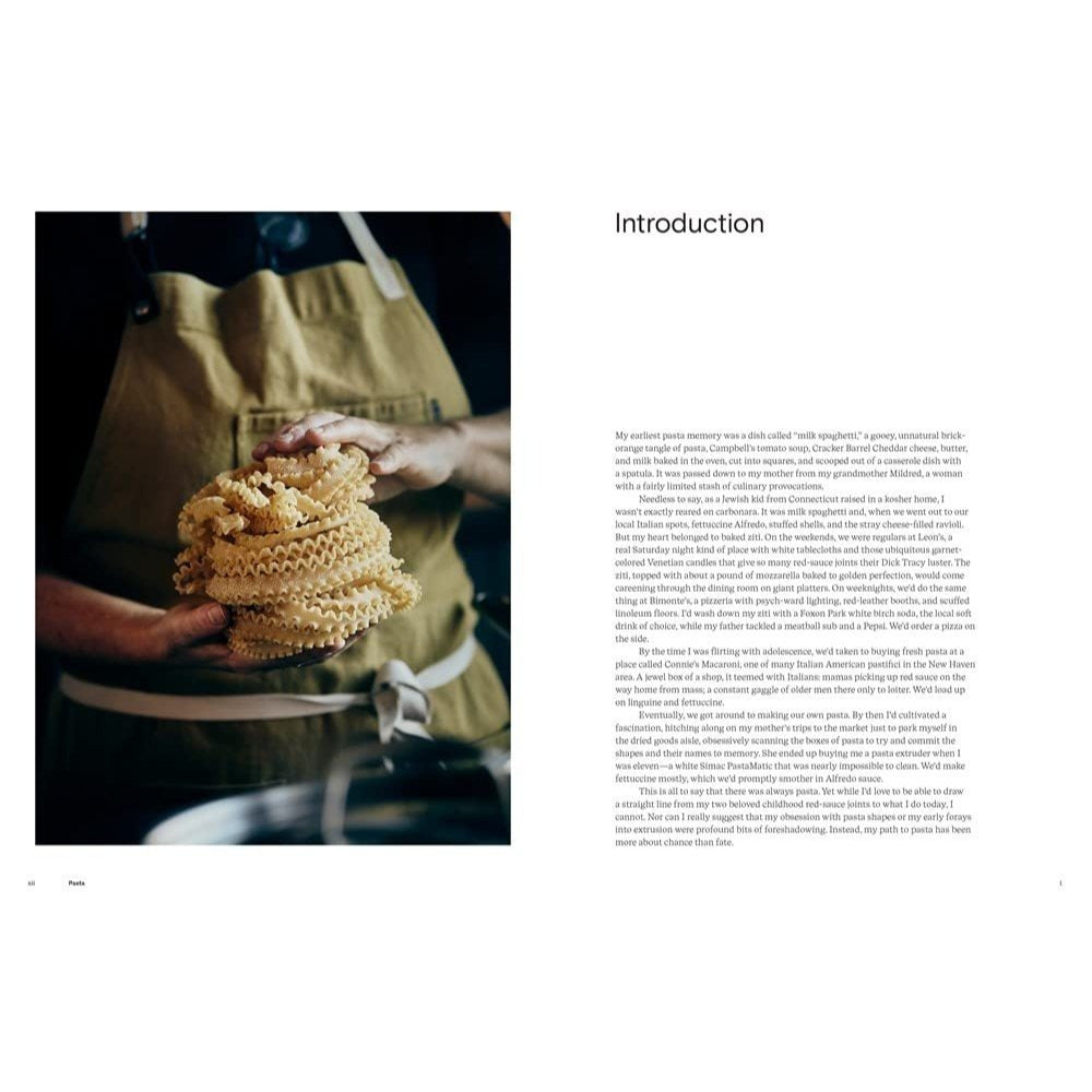 Pasta: The Spirit and Craft of Italy's Greatest Food, with Recipes [A Cookbook] (Spiral Bound)