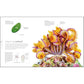 Zoology: Inside the Secret World of Animals (DK Secret World Encyclopedias) (Spiral Bound)