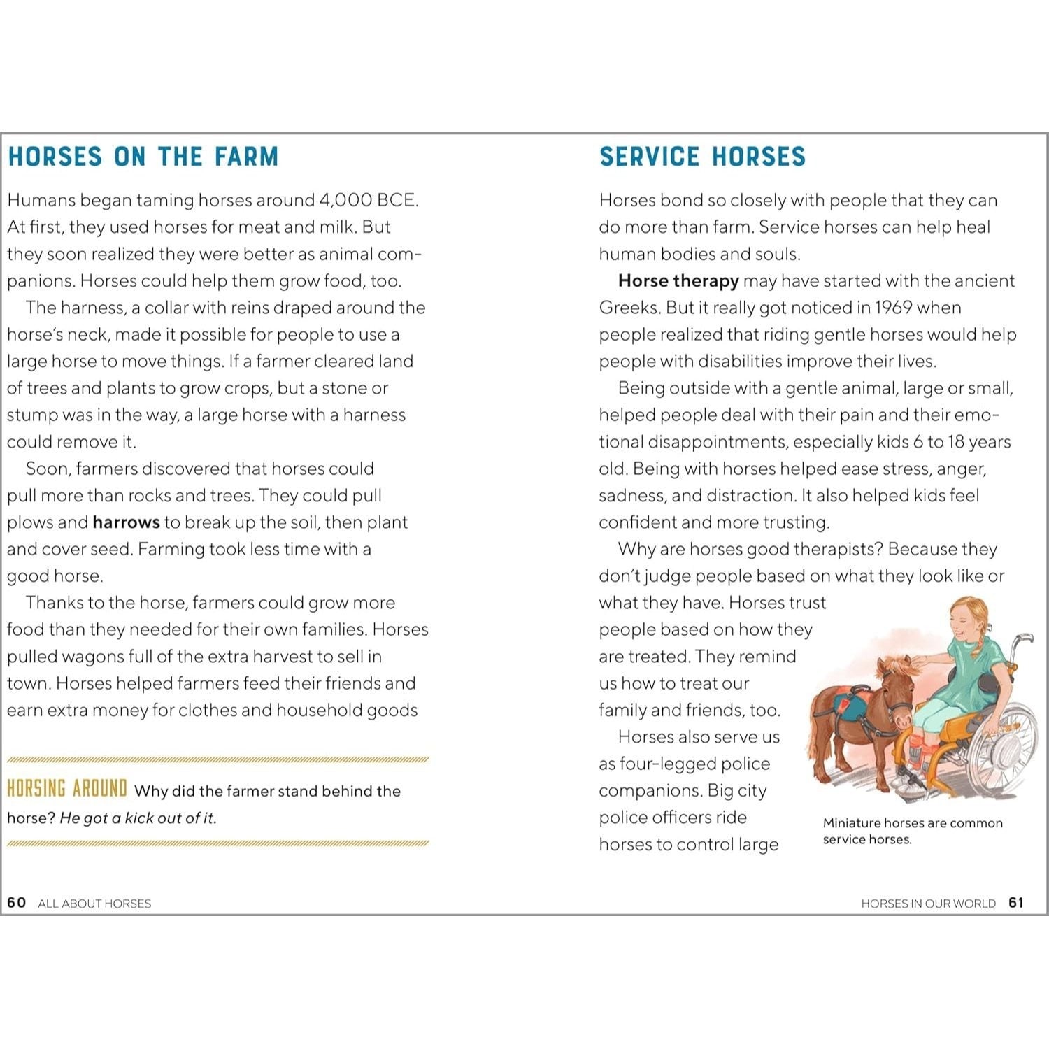 All about Horses: A Kid's Guide to Breeds, Care, Riding, and More!