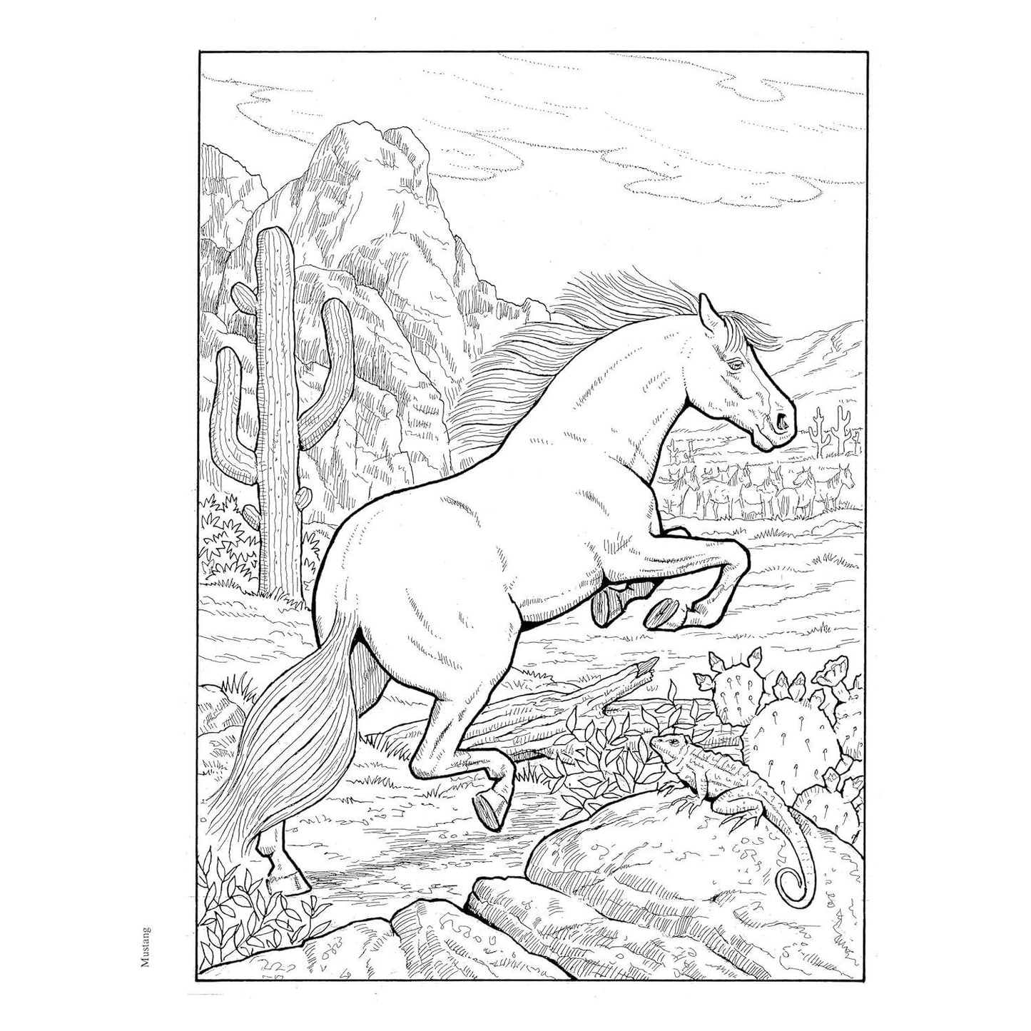 Creative Haven Great Horses Coloring Book