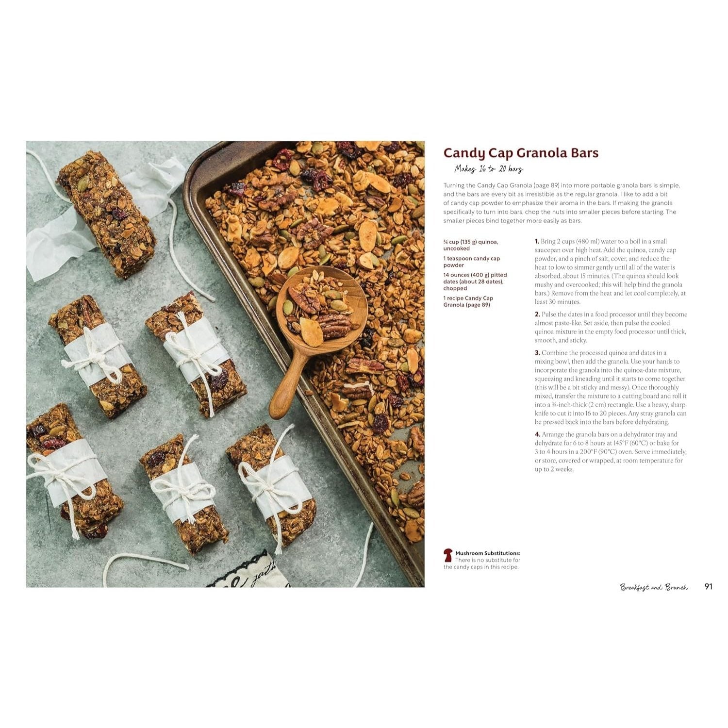 The Mushroom Hunter's Kitchen: A Culinary Homage to Wild and Cultivated Mushrooms - With 120 Recipes