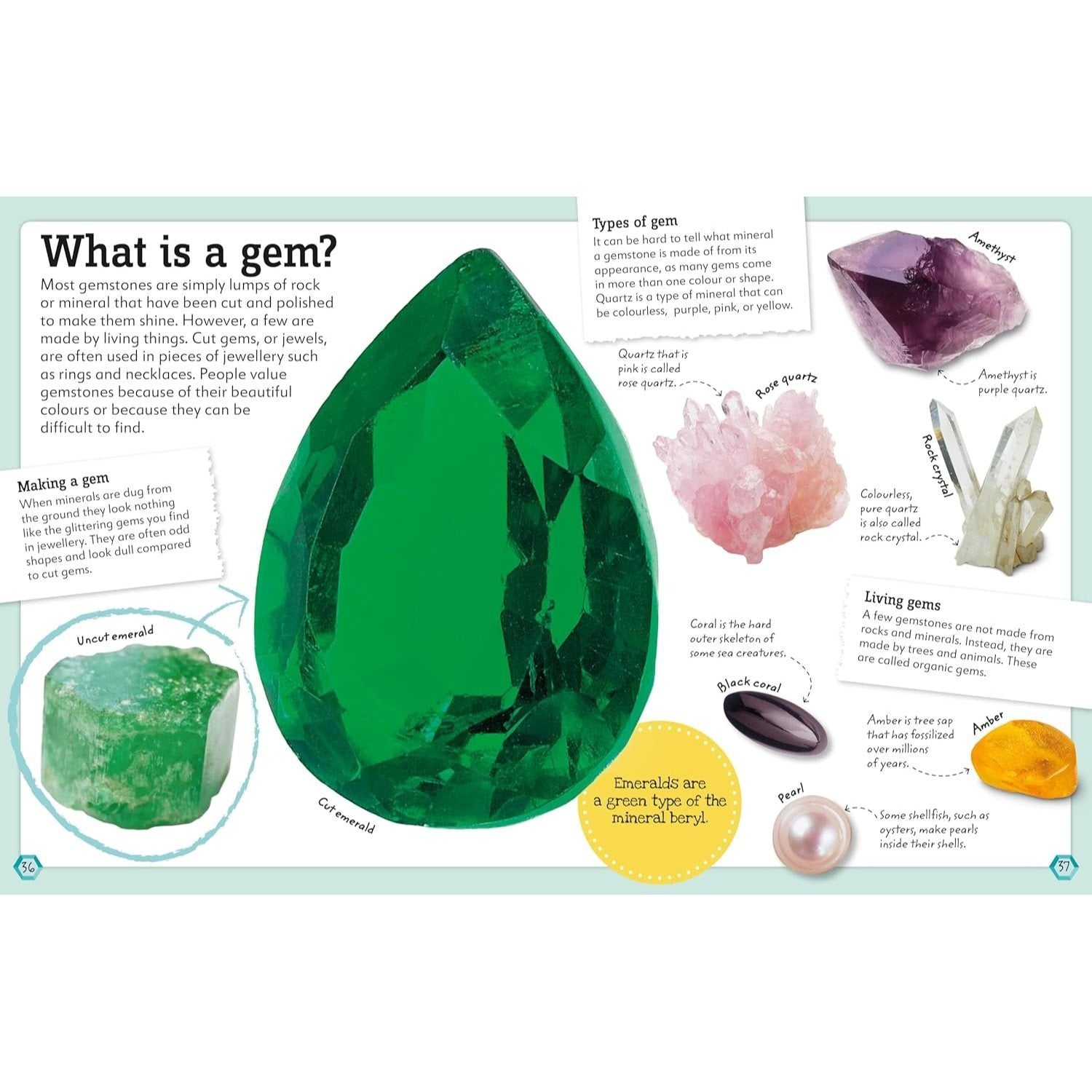 My Book of Rocks and Minerals: Things to Find, Collect, and Treasure (My Book of) (Spiral Bound)