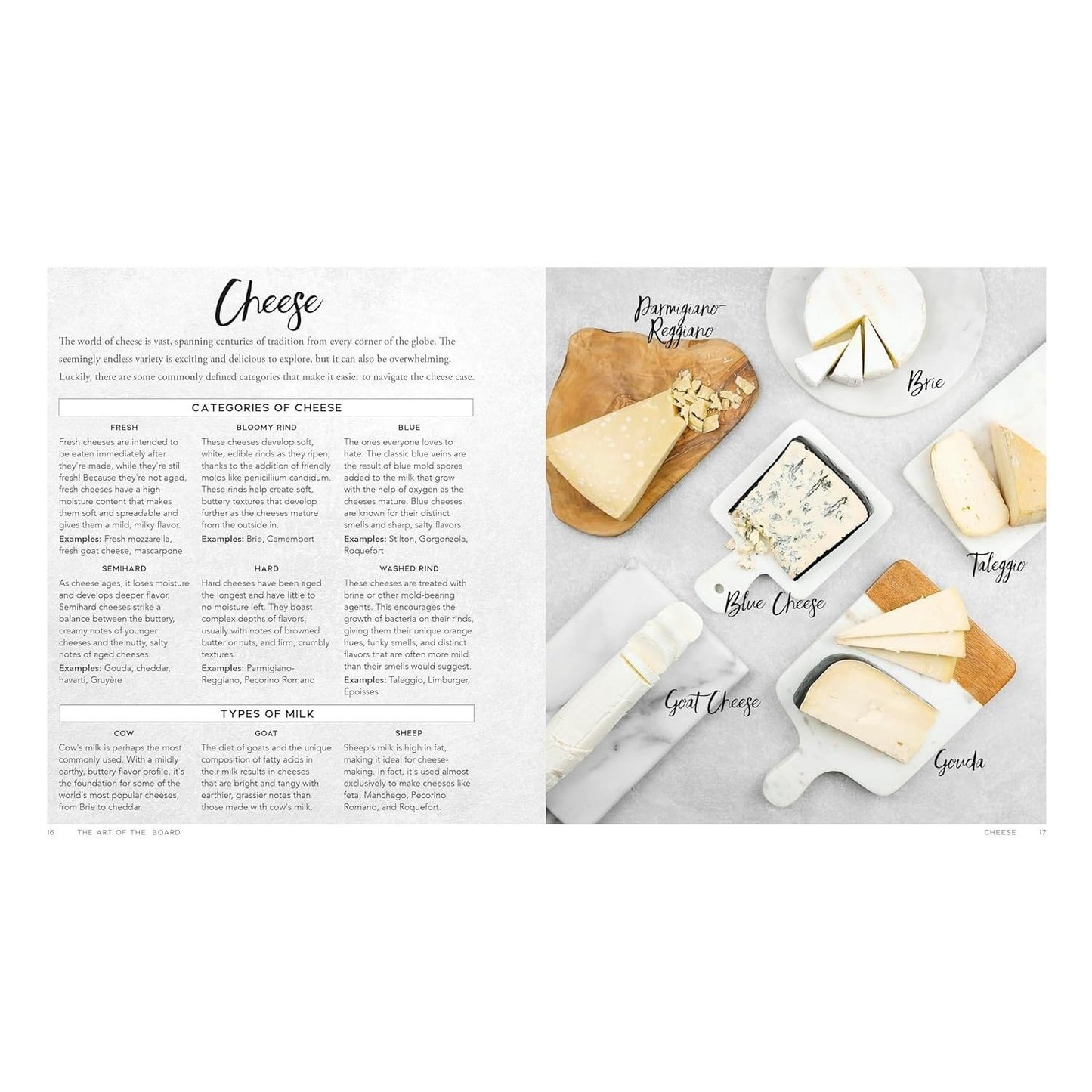 Around the Board: Boards, Platters, and Plates: Seasonal Cheese and Charcuterie for Year-Round Cel (Spiral Bound)