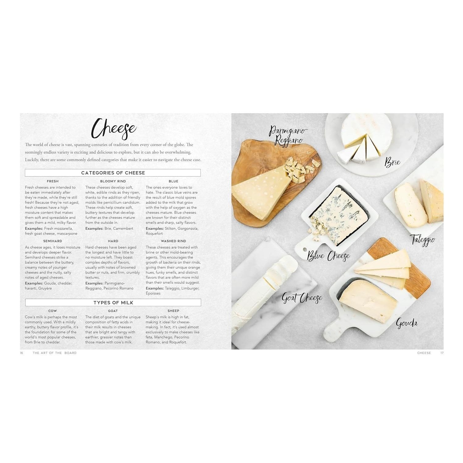Around the Board: Boards, Platters, and Plates: Seasonal Cheese and Charcuterie for Year-Round Cel (Spiral Bound)