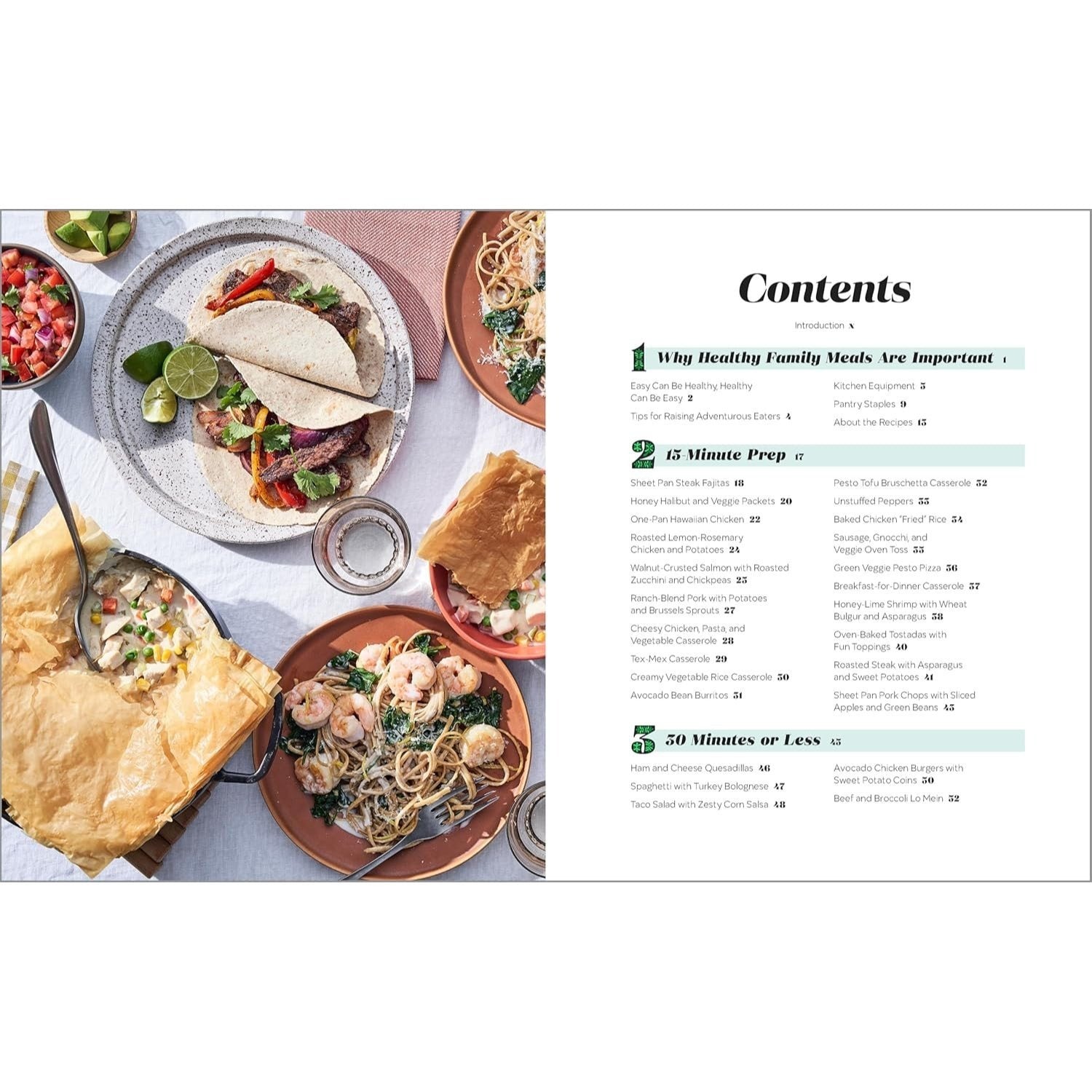 The Healthy Family Cookbook: 100 Fast and Easy Recipes for the Whole Family
