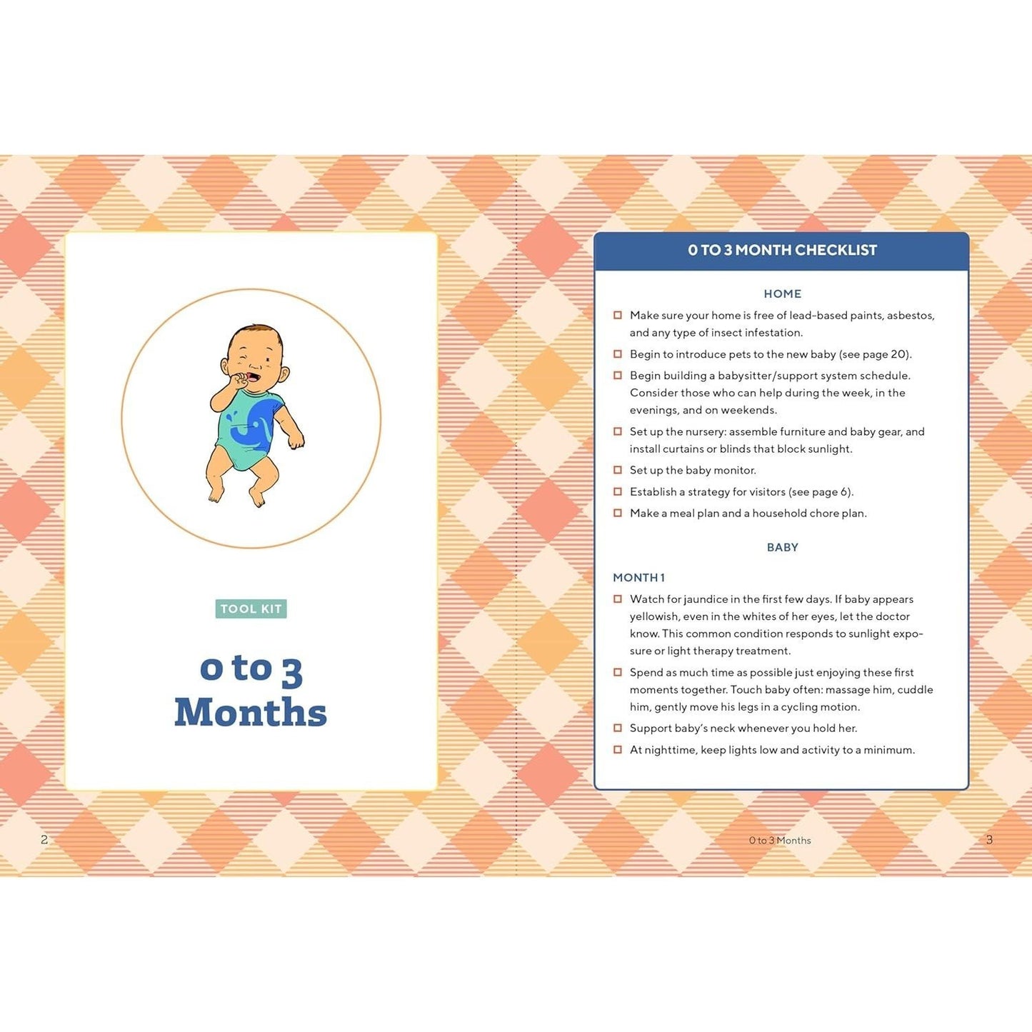 We're Parents! the First-Time Dad's Guide to Baby's First Year: Everything You Need to Know to Survive and Thrive Together