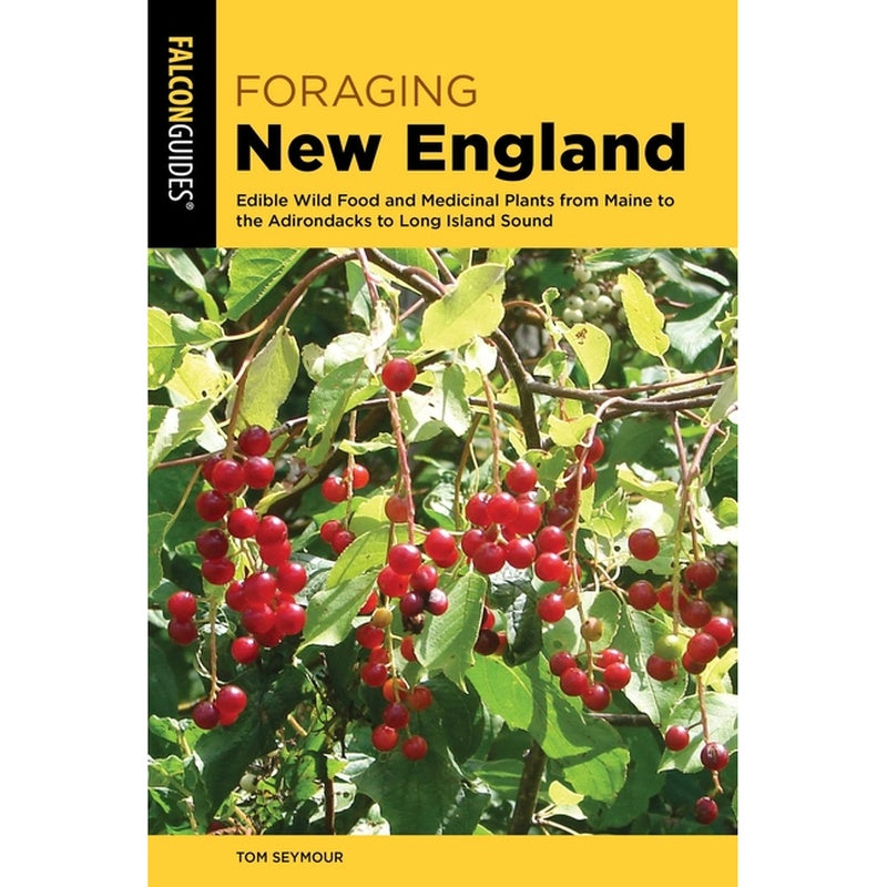 Foraging New England