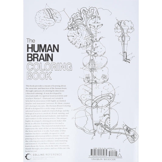 The Human Brain Coloring Book