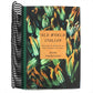 Old World Italian: Recipes and Secrets from Our Travels in Italy: A Cookbook (Spiral Bound)