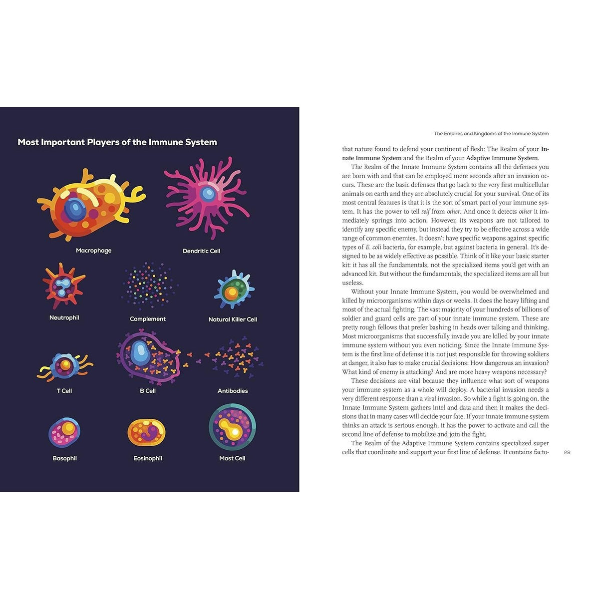 Immune: A Journey Into the Mysterious System That Keeps You Alive