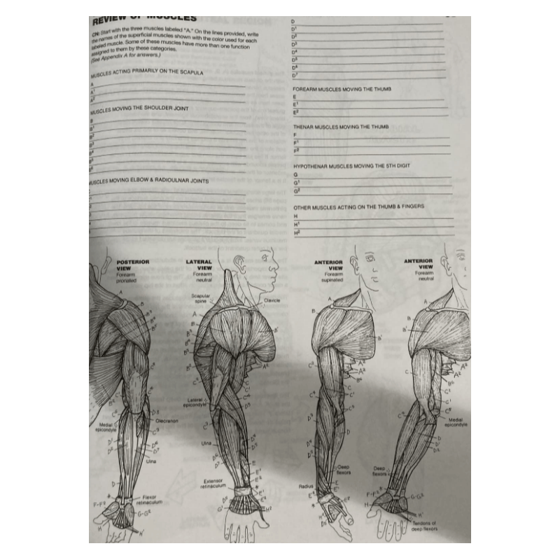 The Anatomy Coloring Book