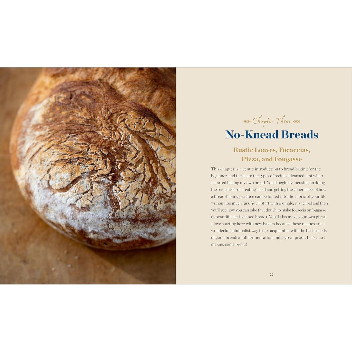 Bread Baking for Beginners: The Essential Guide to Baking Kneaded Breads, No-Knead Breads, and Enriched Breads (Spiral Bound)