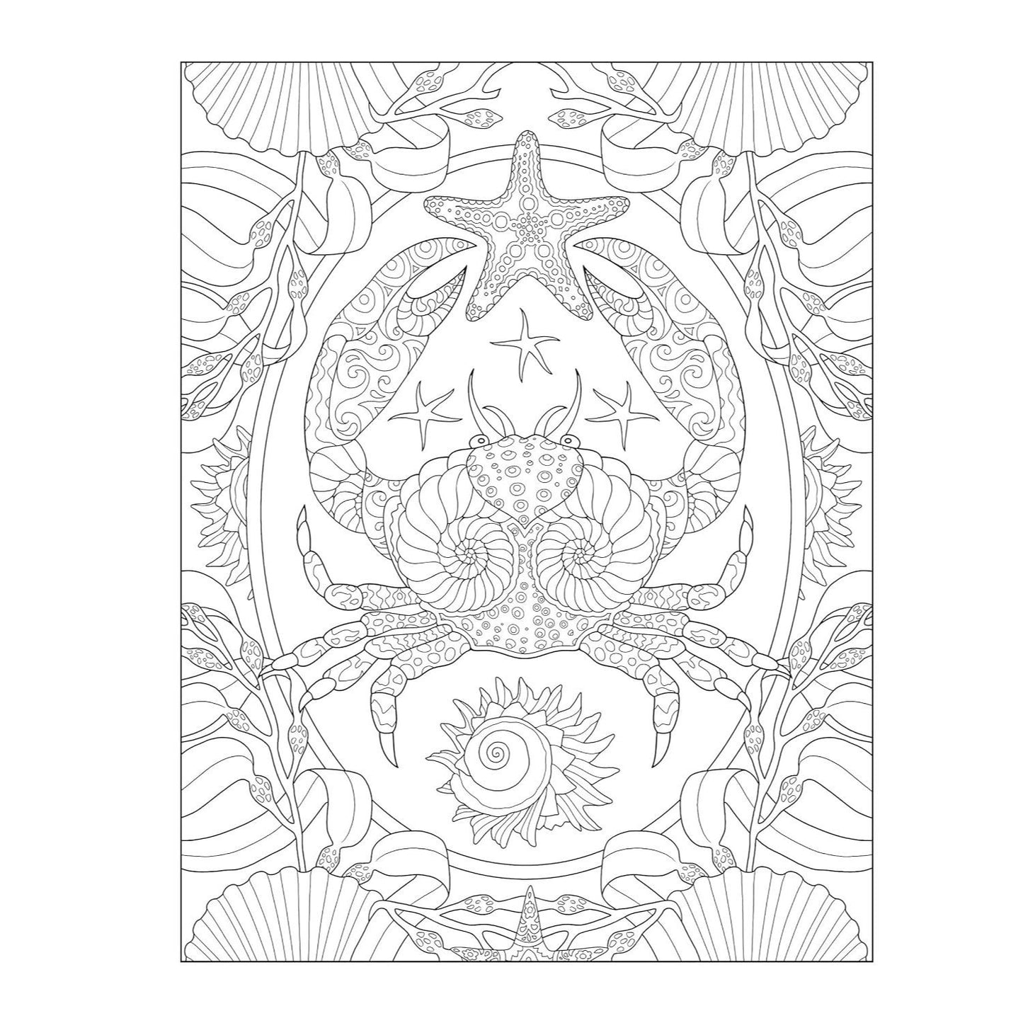 Creative Haven Enchanting Oceans Coloring Book