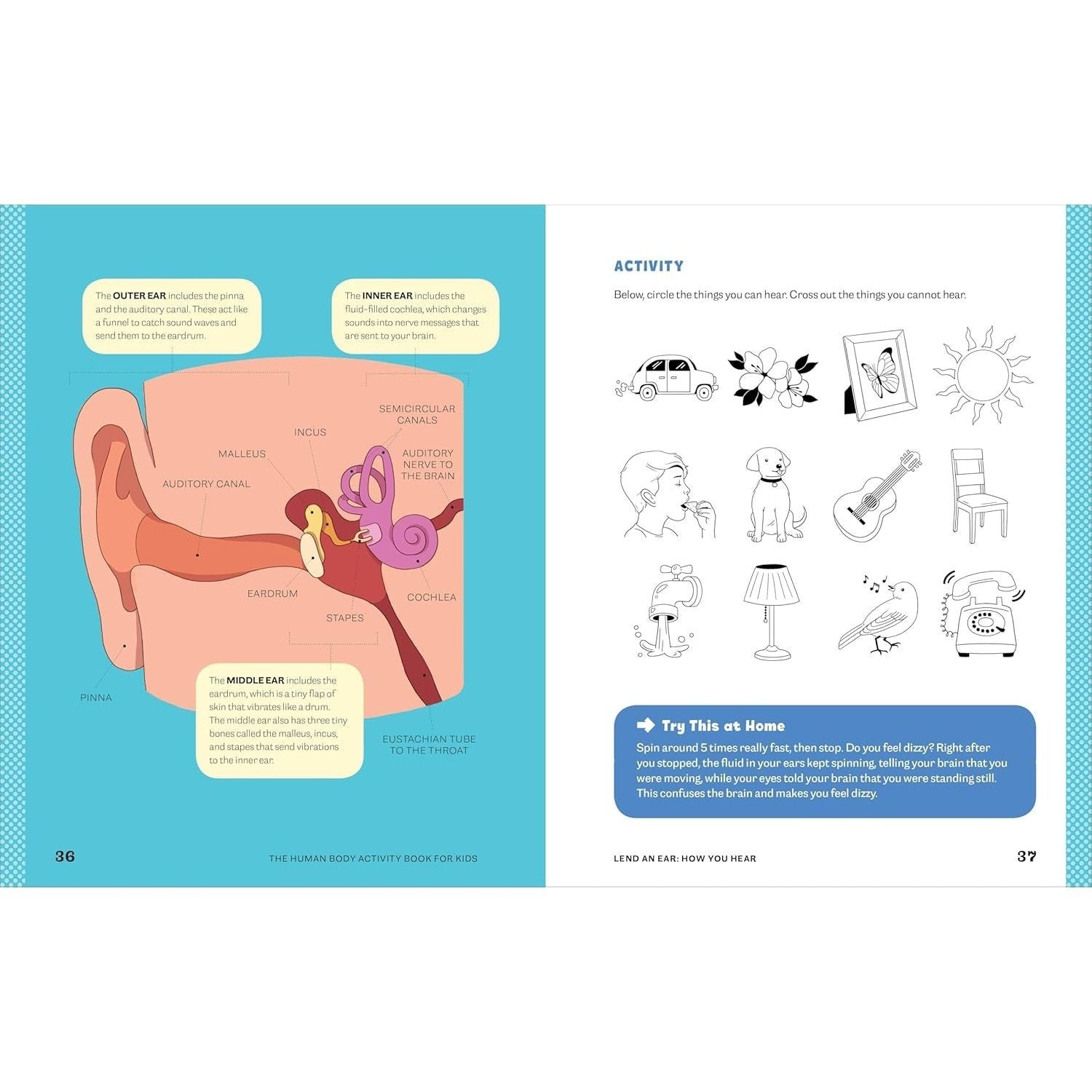 Human Body Activity Book for Kids: Hands-On Fun for Grades K-3 (Spiral Bound)