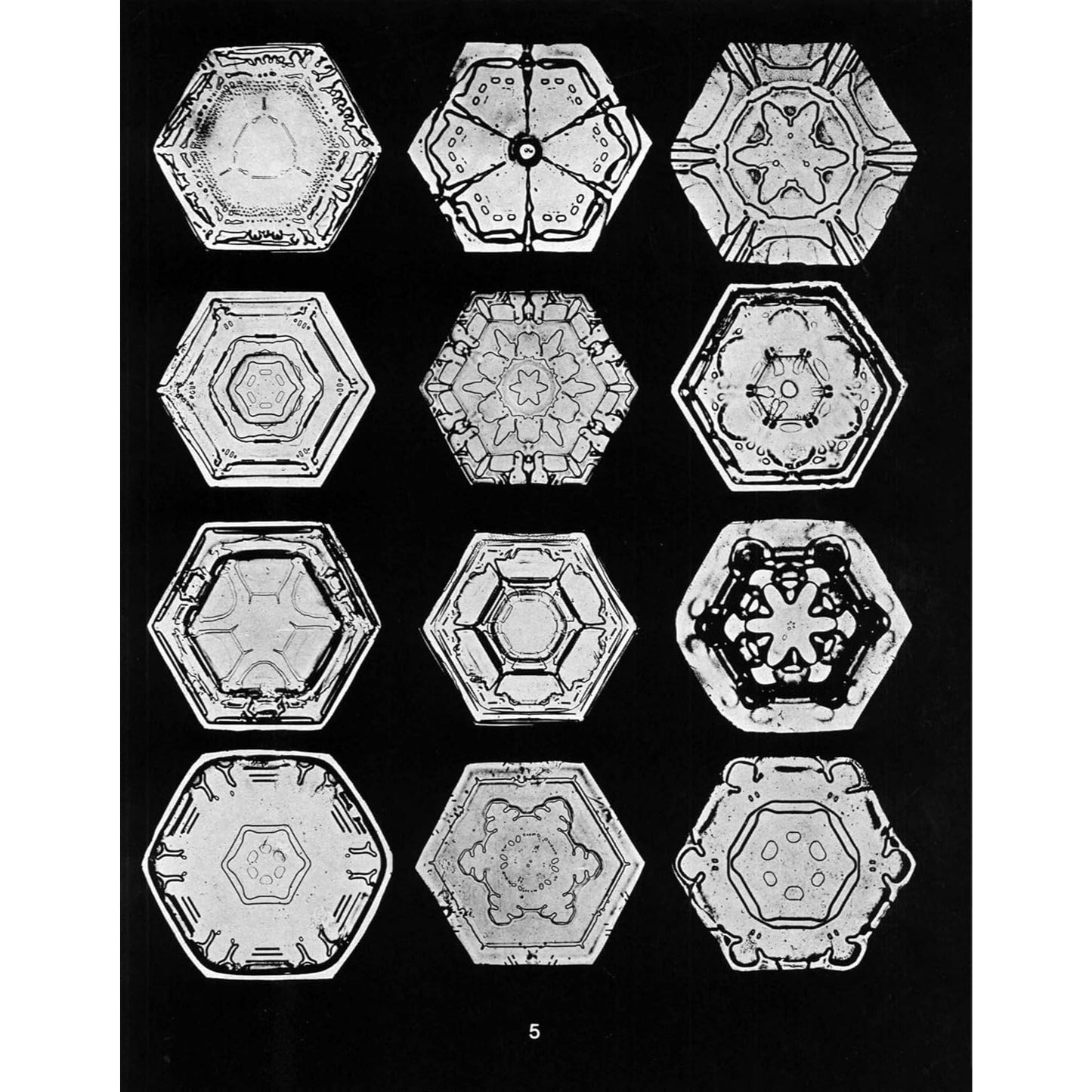 Snowflakes in Photographs