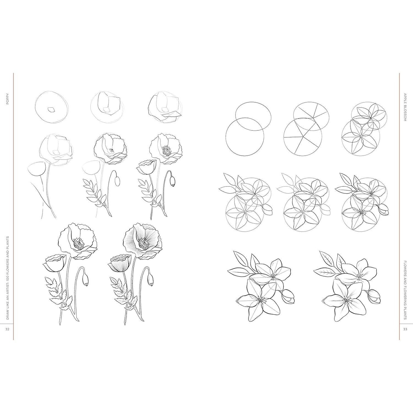 Draw Like an Artist: 100 Flowers and Plants: Step-By-Step Realistic Line Drawing * a Sourcebook for Aspiring Artists and Designers (Draw Like an Artist #2) (Spiral Bound)