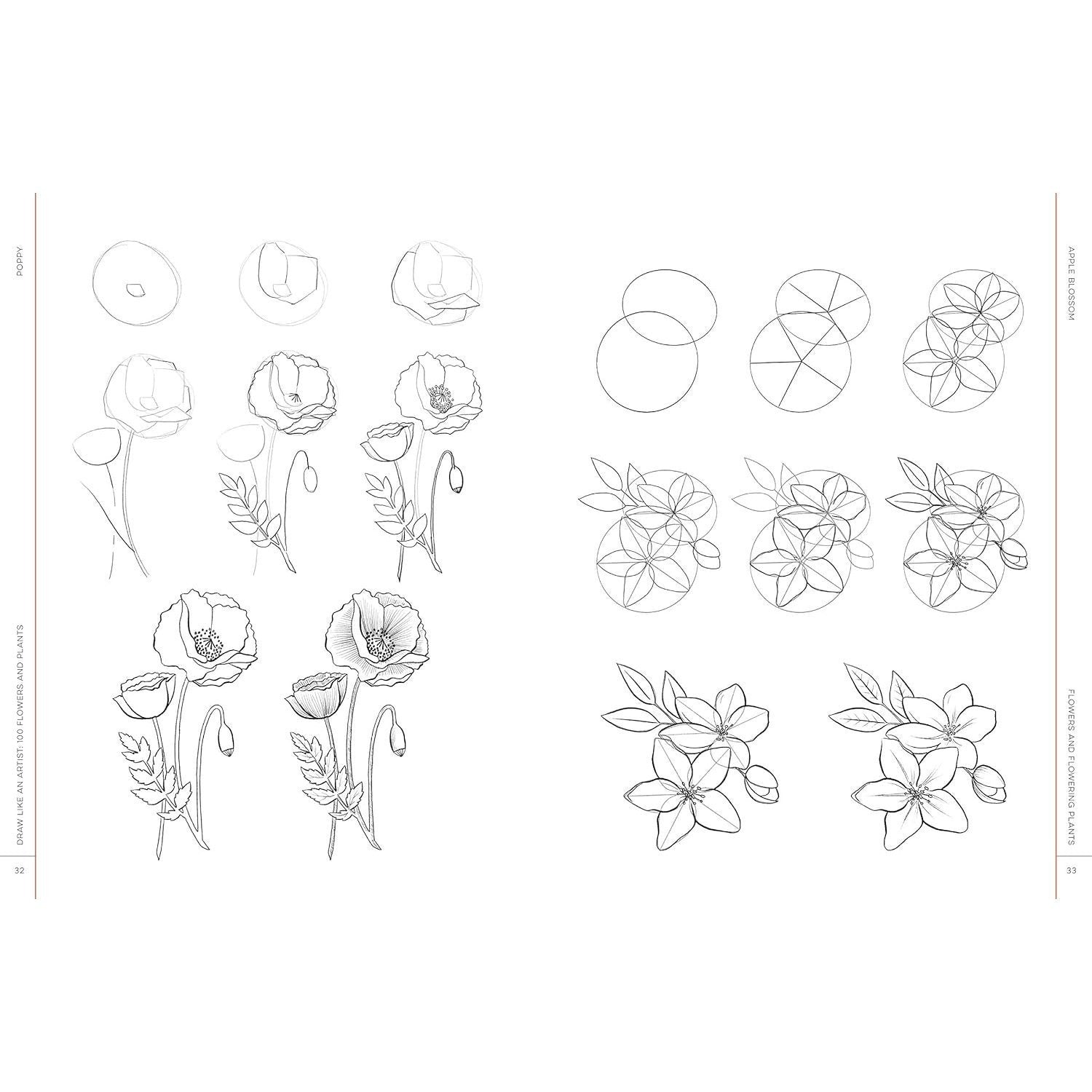 Draw Like an Artist: 100 Flowers and Plants: Step-By-Step Realistic Line Drawing * a Sourcebook for Aspiring Artists and Designers (Draw Like an Artist #2) (Spiral Bound)