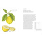 The Joy of Botanical Drawing: A Step-By-Step Guide to Drawing and Painting Flowers, Leaves, Fruit, and More