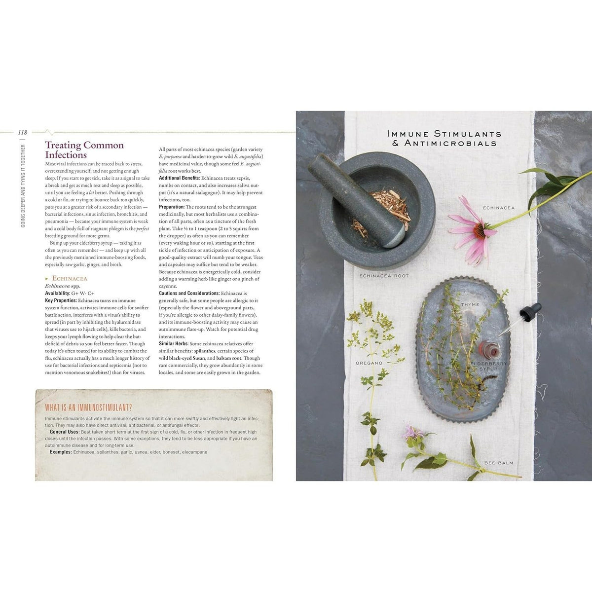 Body Into Balance: An Herbal Guide to Holistic Self-Care (Spiral Bound)