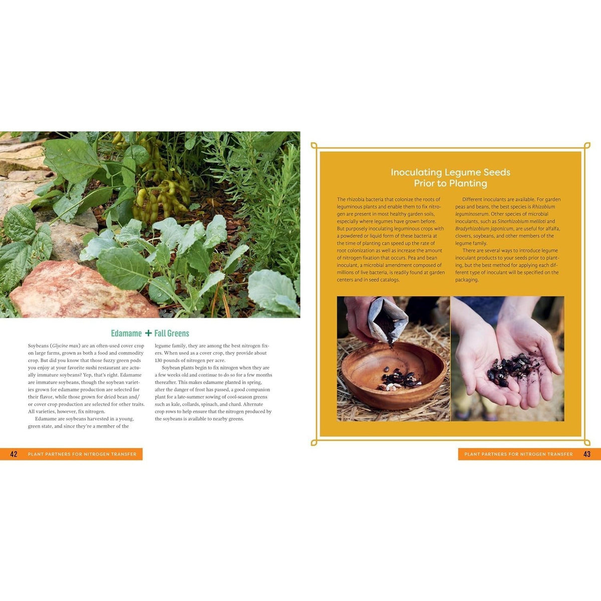 Plant Partners: Science-Based Companion Planting Strategies for the Vegetable Garden (Spiral Bound)