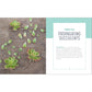 Essential Succulents: The Beginner's Guide
