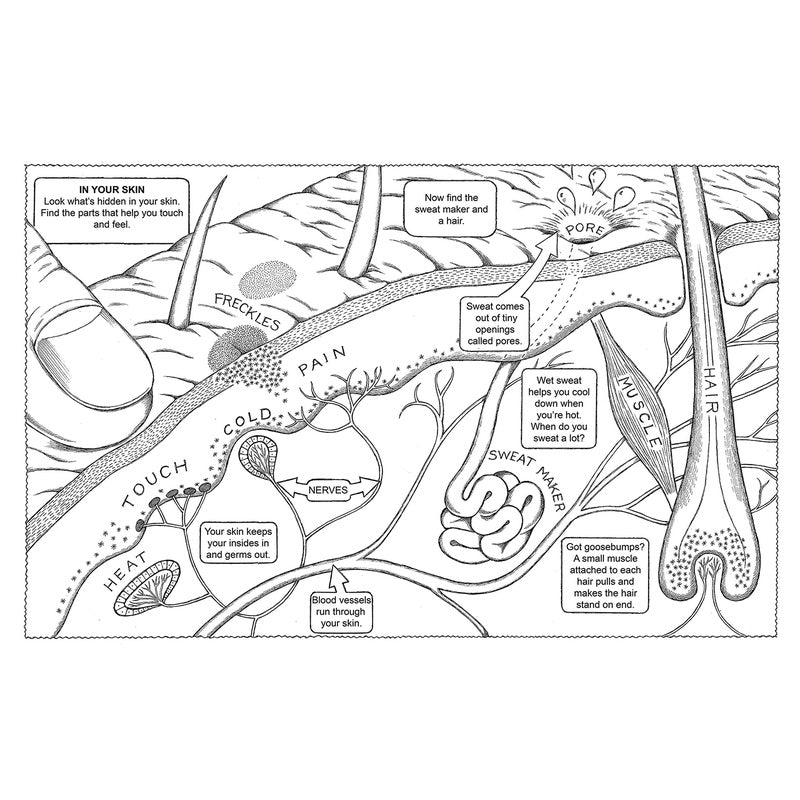 My First Human Body Book Coloring Book (Green) (Spiral Bound)