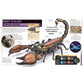 Super Bug Encyclopedia: The Biggest, Fastest, Deadliest Creepy-Crawlers on the Planet (DK Super Nature Encyclopedias) (Spiral Bound)