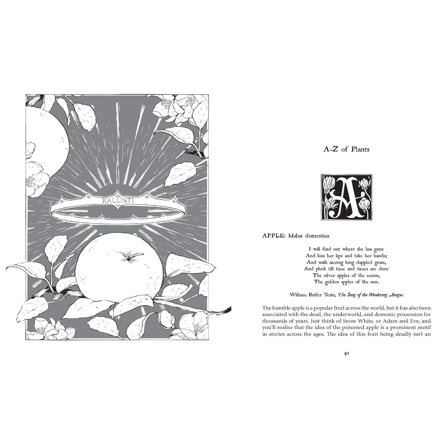 Botanical Curses and Poisons: The Shadow-Lives of Plants (Spiral Bound)
