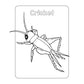 Bug Book for Kids: Coloring Fun and Awesome Facts (A Did You Know? Coloring Book) (Spiral Bound)