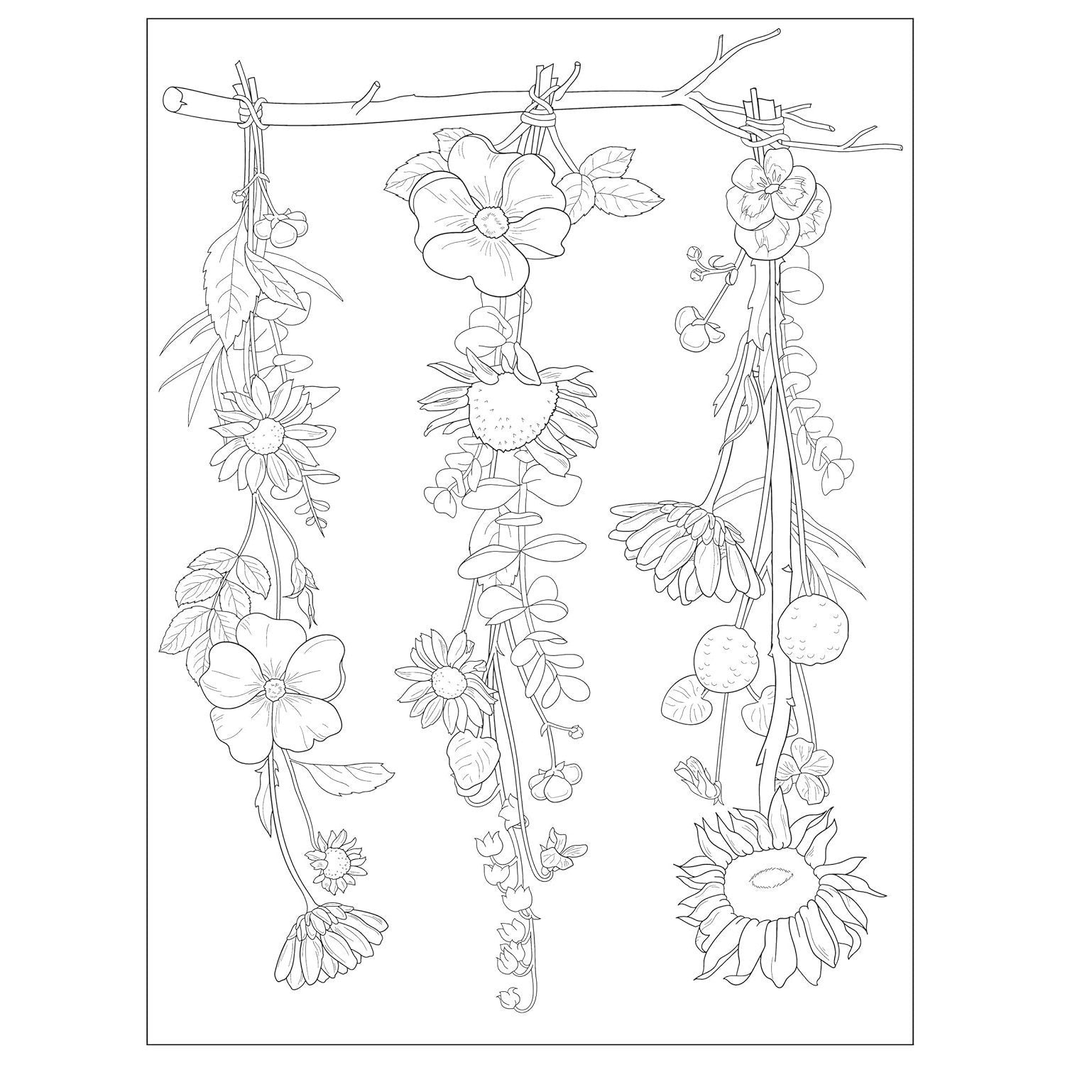 Creative Haven Wildflowers Coloring Book