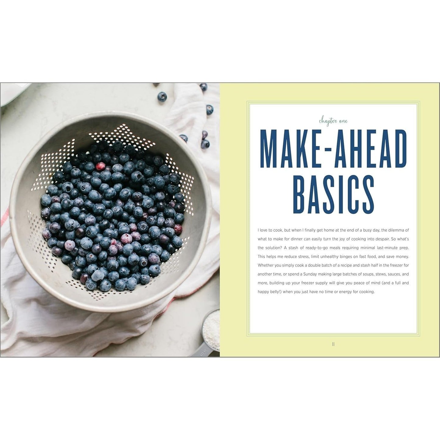 The Healthy Make-Ahead Cookbook: Wholesome, Flavorful Freezer Meals the Whole Family Will Enjoy (Spiral Bound)