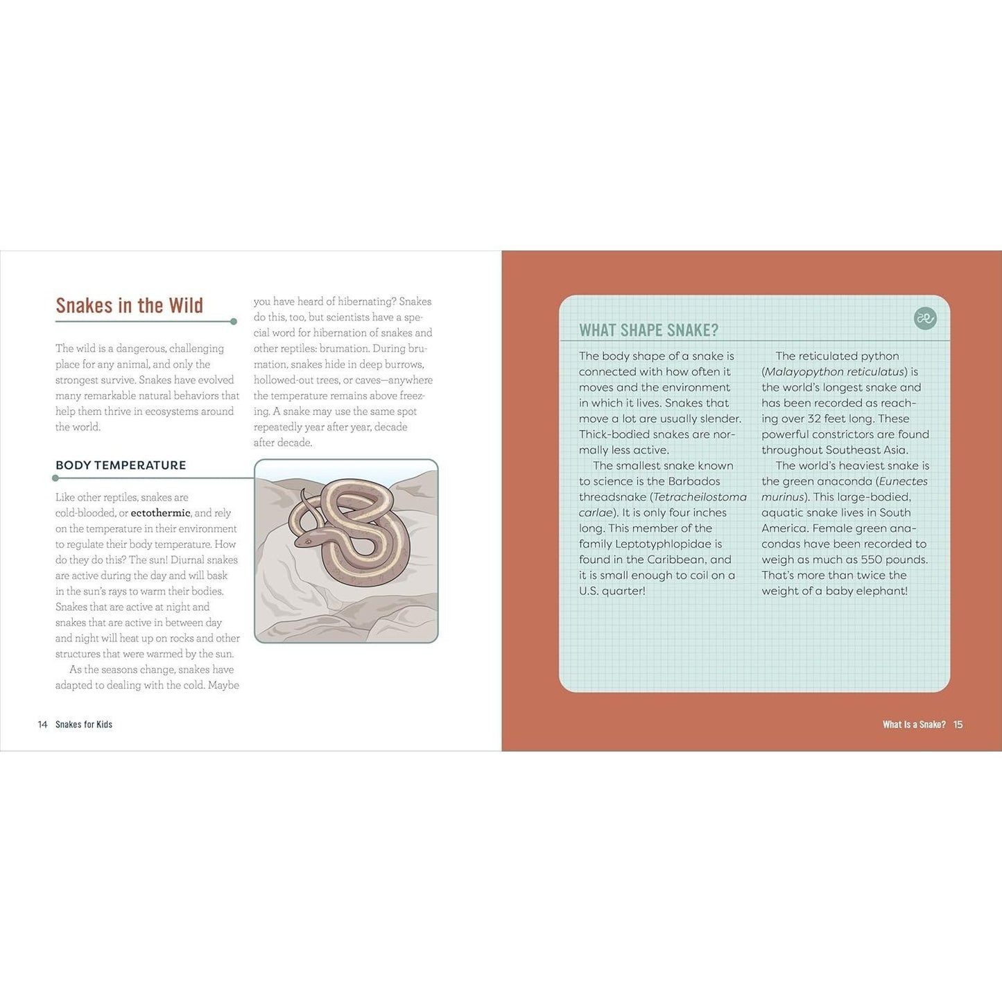 Snakes for Kids: A Junior Scientist's Guide to Venom, Scales, and Life in the Wild (Junior Scientists)