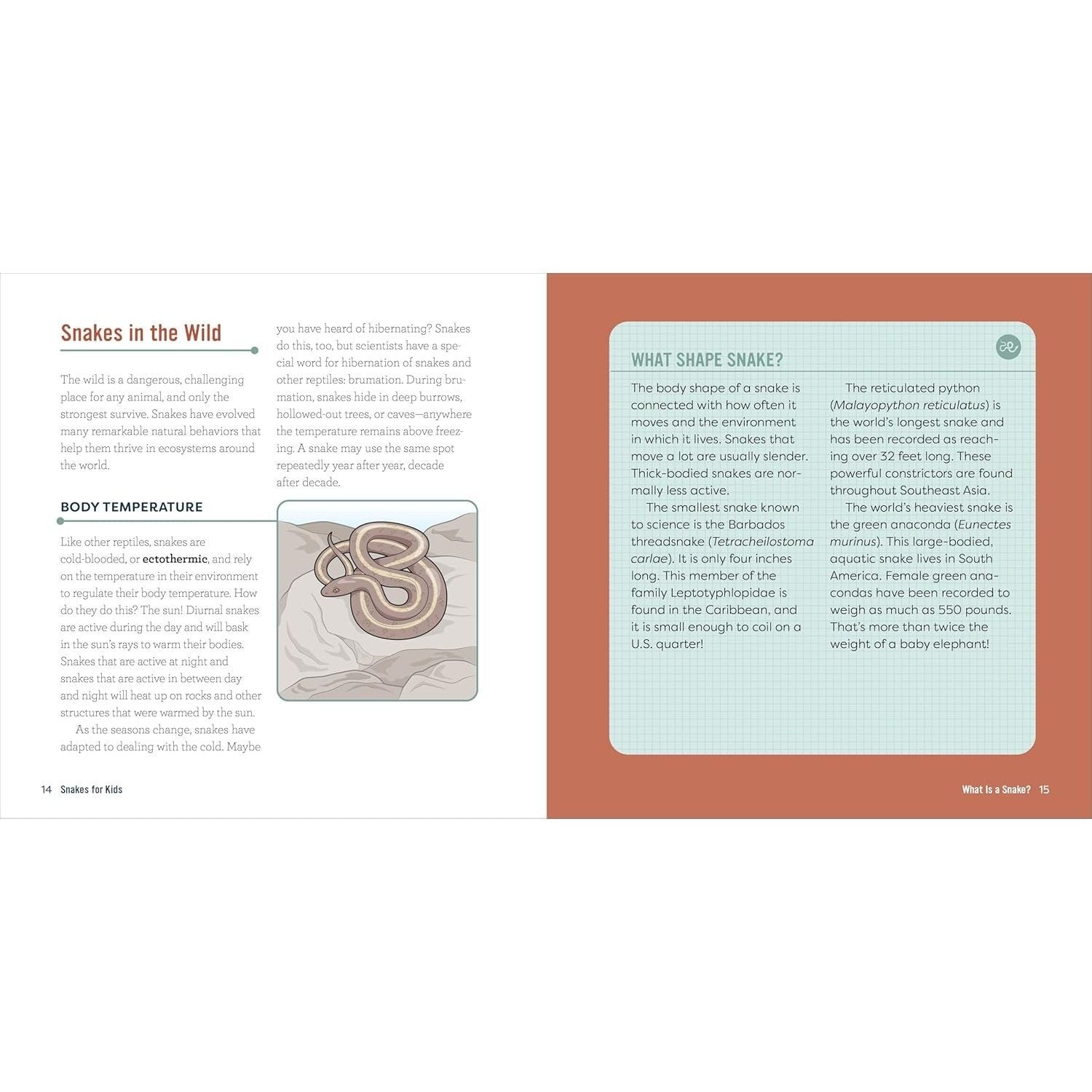 Snakes for Kids: A Junior Scientist's Guide to Venom, Scales, and Life in the Wild (Junior Scientists)