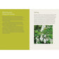 Southeast Foraging: 120 Wild and Flavorful Edibles from Angelica to Wild Plums (Regional Foraging) (Spiral Bound)