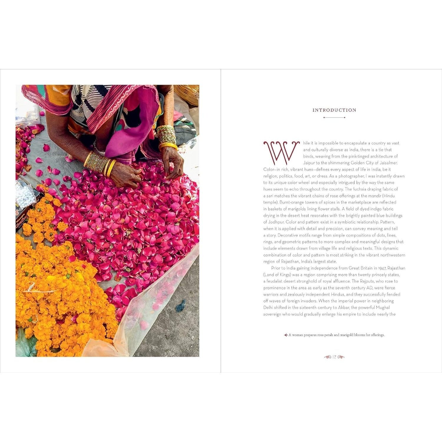 Patterns of India: A Journey Through Colors, Textiles, and the Vibrancy of Rajasthan
