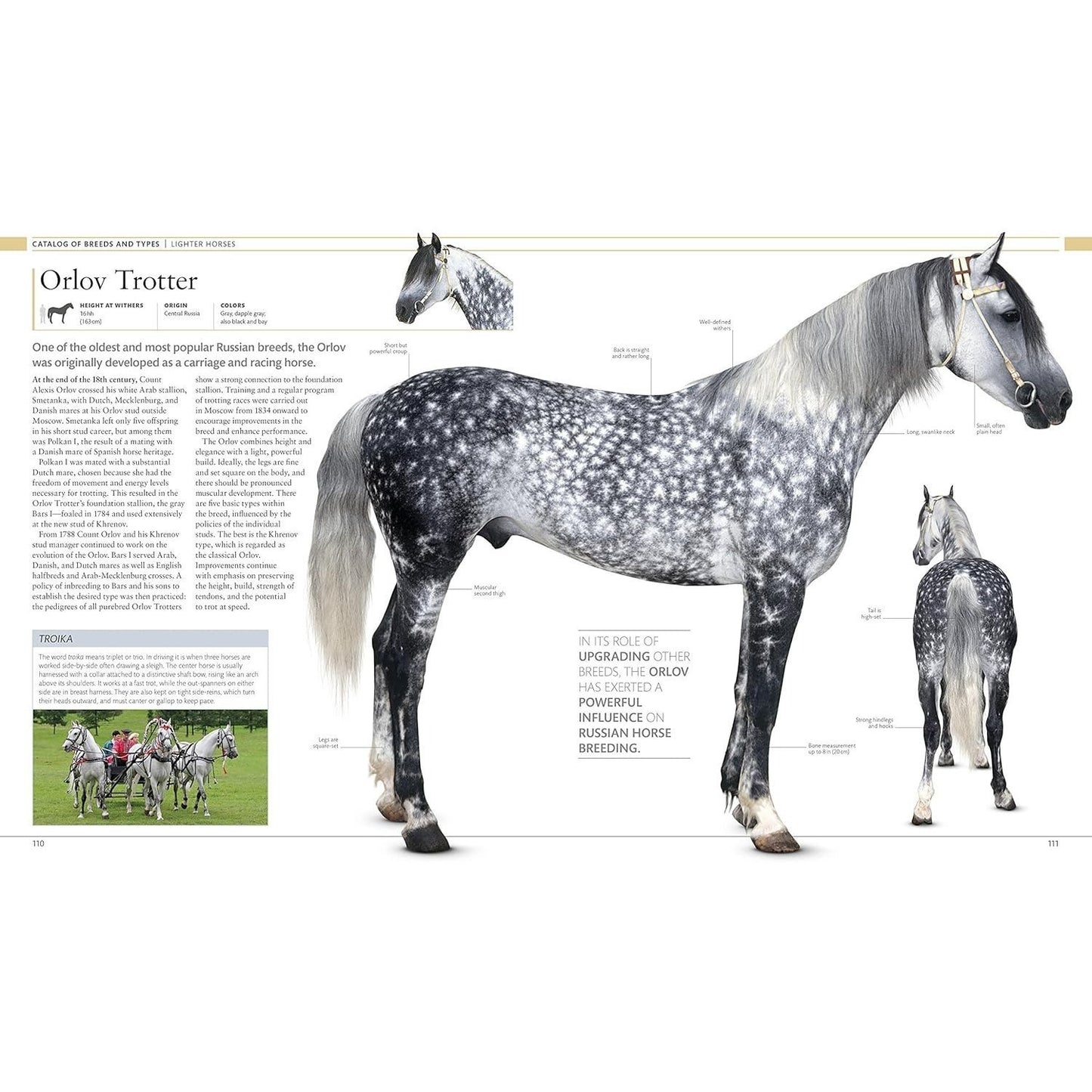 The Horse Encyclopedia (DK Pet Encyclopedias)