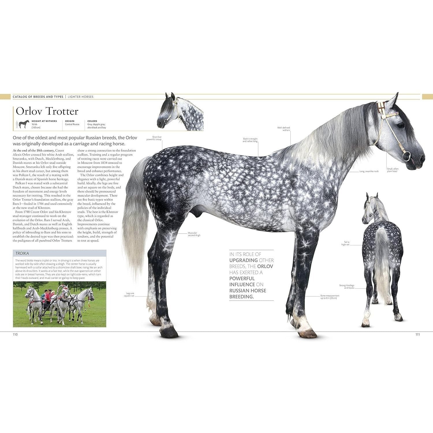 The Horse Encyclopedia (DK Pet Encyclopedias)